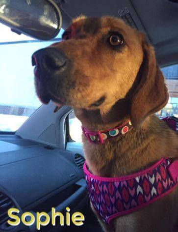 Trudy, adopted