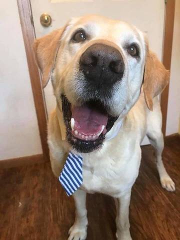 Justice, adopted