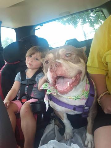 Gracie, adopted