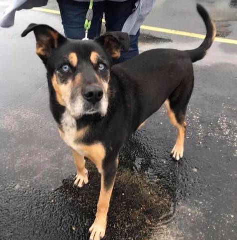 Rhett, adopted
