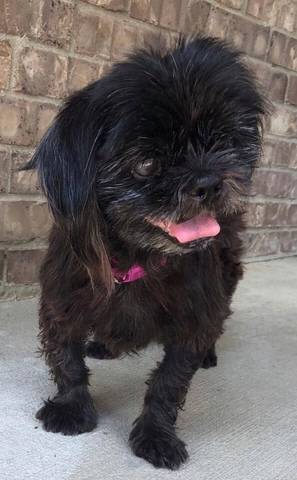 Giselle, adopted