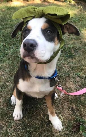 Posey, adopted