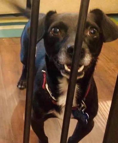 Earl, adopted