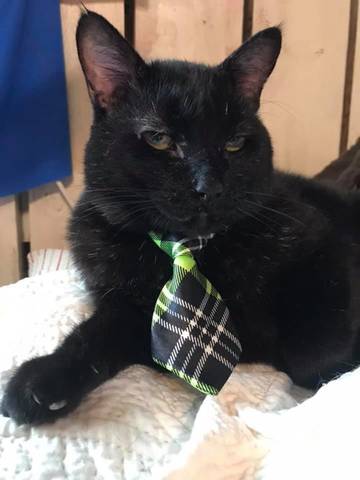 Bakari, adopted