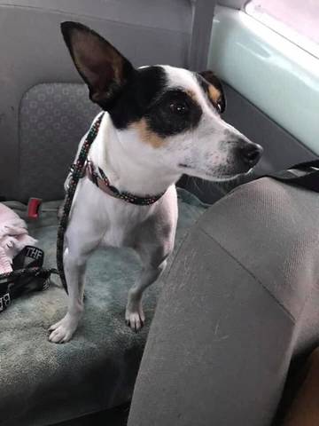 Dawsyn, adopted