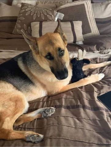 Mila Jane, adopted