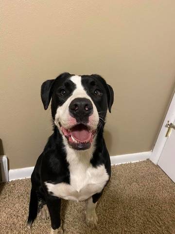 Hope, adopted