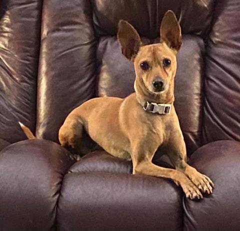 Princess 2, adopted