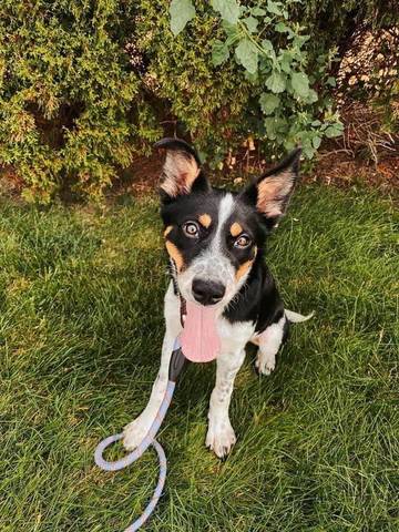 Landyn, adopted