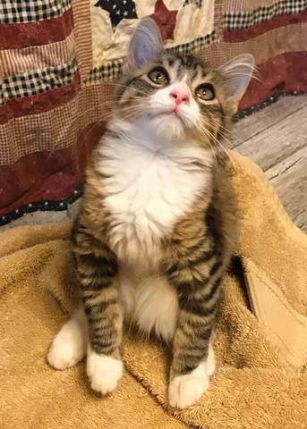Raiyn, adopted