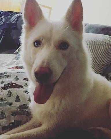 Nova Jane, adopted