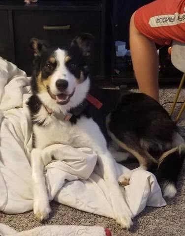 Mercy, adopted