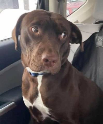 Rae, adopted