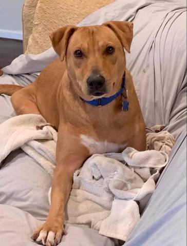 Sally, adopted