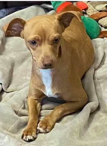 Maggie Texas, adopted