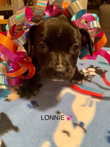 Lonnie, adopted