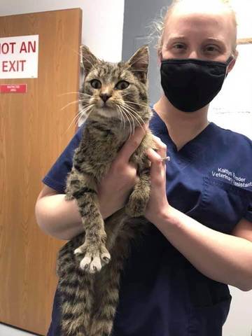 Hutch, adopted