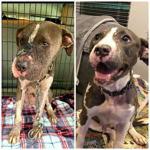 Lilah, adopted