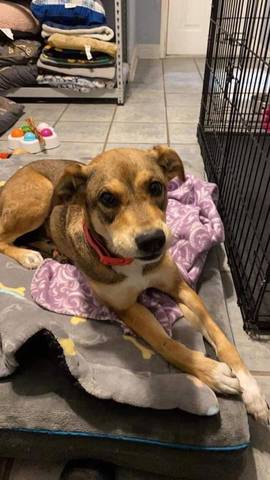 Fiona, adopted