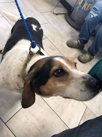 Tuckir, adopted