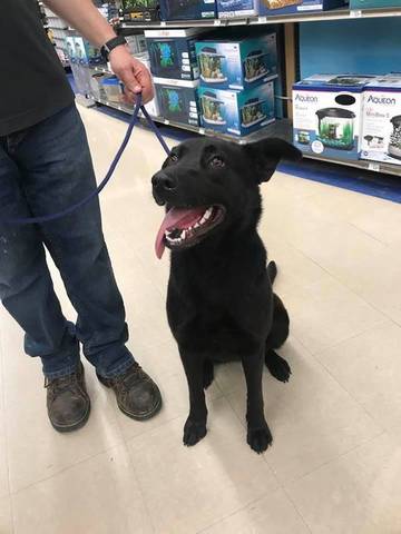 Hadley, adopted