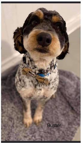 Buster, adopted