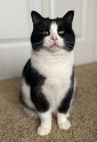 Marleigh, adopted