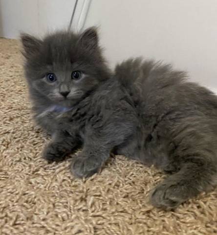 Margo, adopted