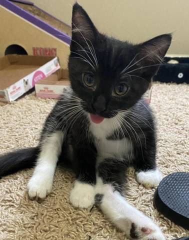 Marlo, adopted