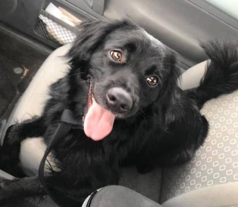 Gunther, adopted