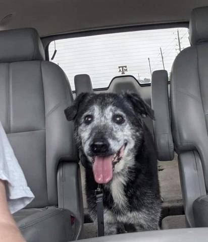 Polly, adopted