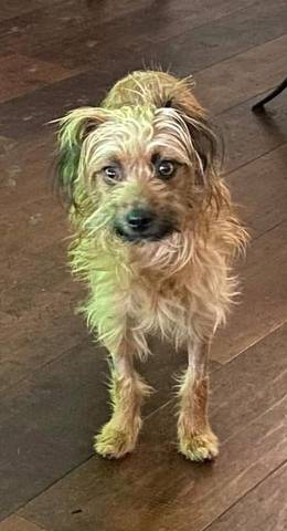 Pruitt, adopted