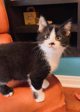 Eva, adopted