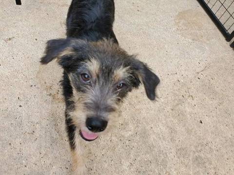 Lucien, adopted