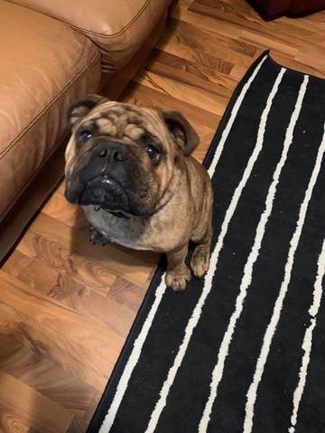 Hendrix, adopted