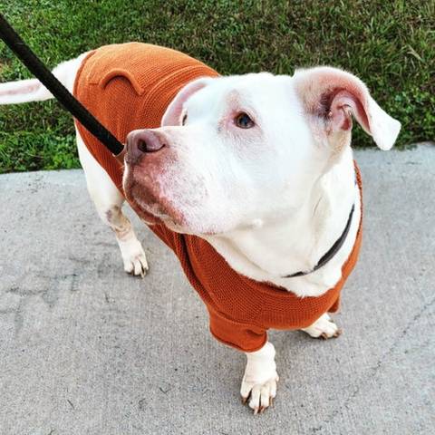 Landry, adopted