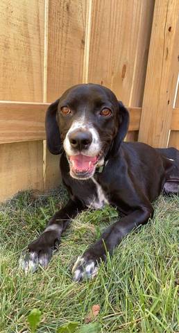 Kina, adopted