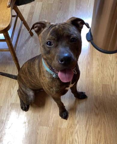 Mack, adopted