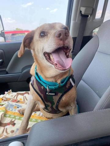 Cooper, adopted