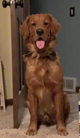 Nash, adopted