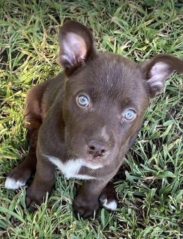 Banks, adopted
