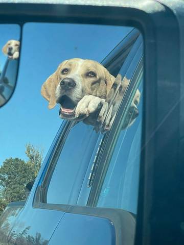 Bennett, adopted