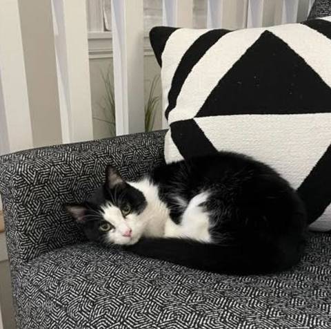 Coraline, adopted