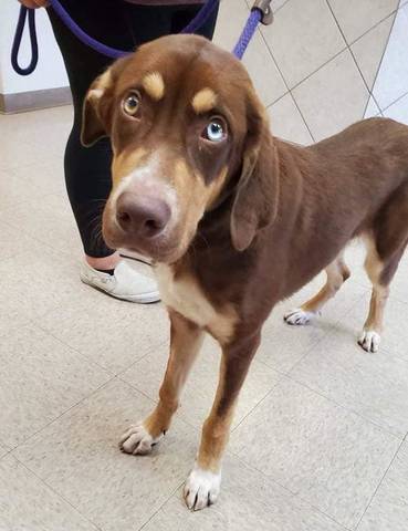 Nate, adopted