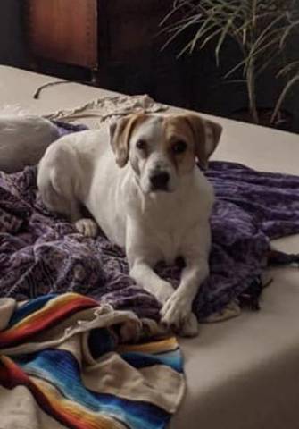 Emmie, adopted