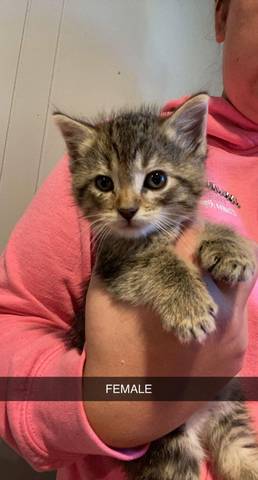 Sally, adopted