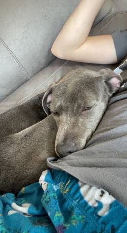 Skye, adopted