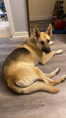 Ares, adopted