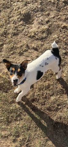 Russ, adopted