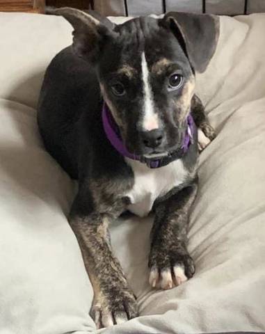 Karina, adopted